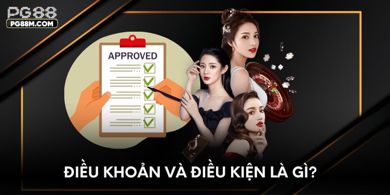 Điều khoản và điều kiện là gì?