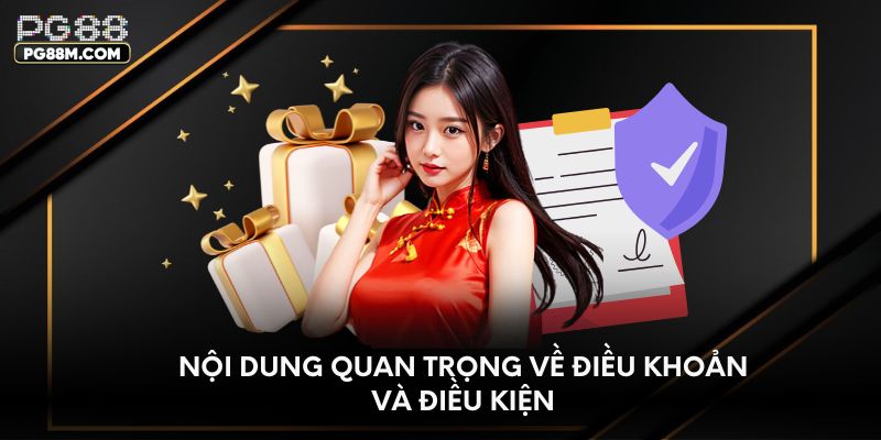 Nội dung quan trọng về điều khoản và điều kiện