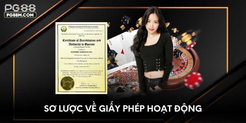 Sơ lược về giấy phép hoạt động